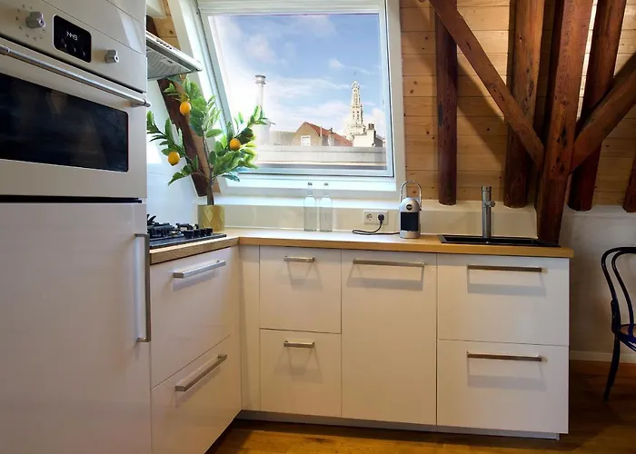 호텔 Haarlem Hotel Suites 하를렘